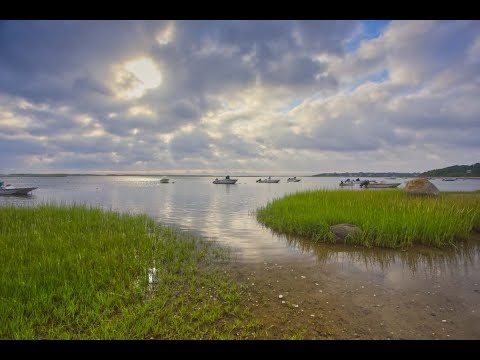 Cape Cod Weather Forecast August 12, 2020 - Orleans, Massachusetts