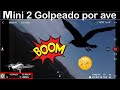 DRONE DJI MINI 2 ATACADO POR AVE TERRITORIAL en ESPAÑOL