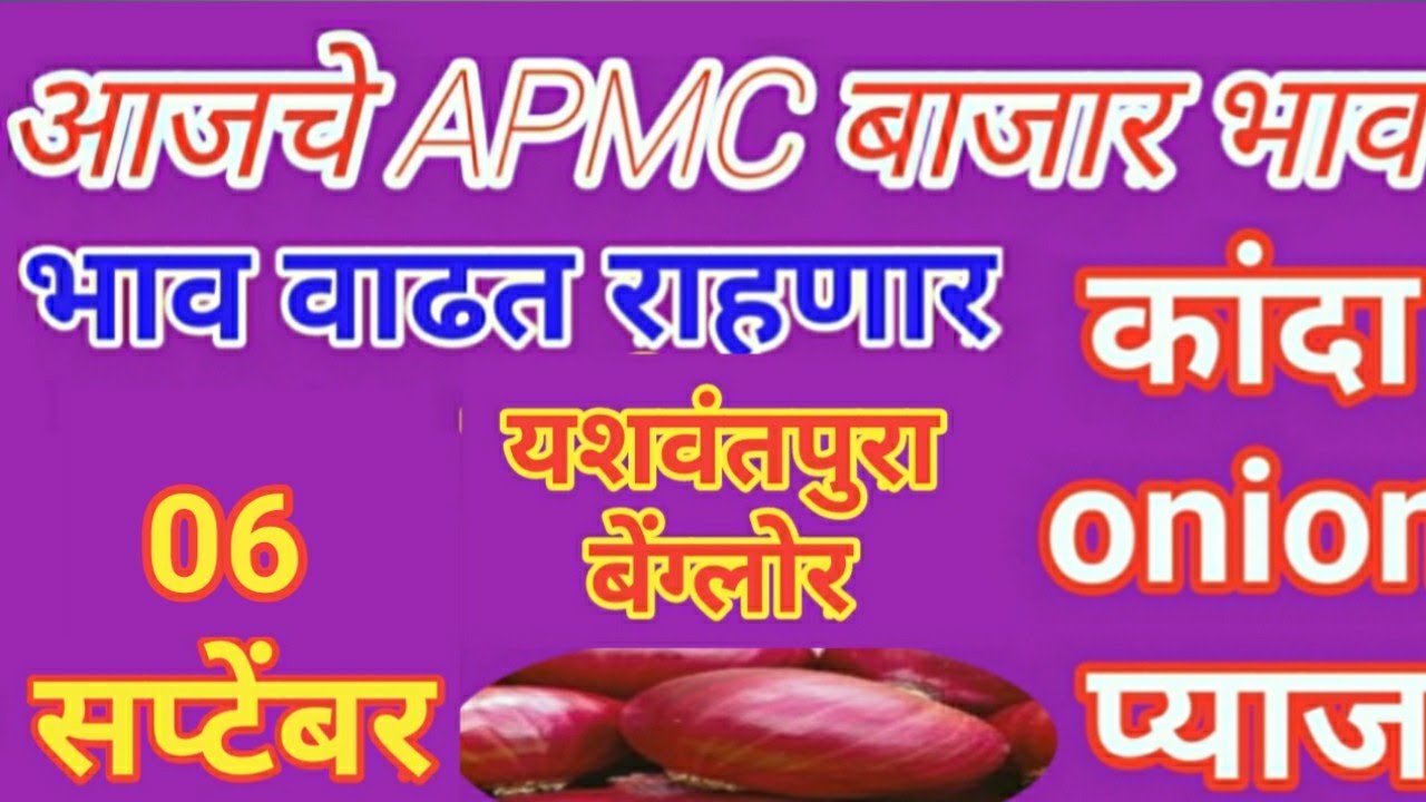 बेंग्लोर येथील कांदा बाजार भाव दि.06/09/2019# Onion price in Bengluru onion rings