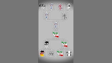 Iran like Israel Comment #map #flag #shorts