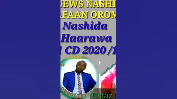 New Nashida Afaan Oromo Ustaz Kamaal Hebboo Duet Sholawat SakinaAwel C6f DarulSelam 