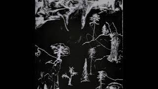 5469(Slowest + Reverb) - D2S1