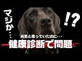 健康診断は必ず受けて！思ってもいないところに問題発生！