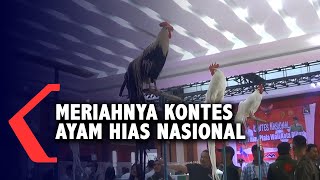 Meriahnya Kontes Ayam Hias Dari Berbagai Negara