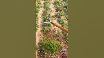 Dụng cụ làm vườn sắc bén                                   #farming #satisfying