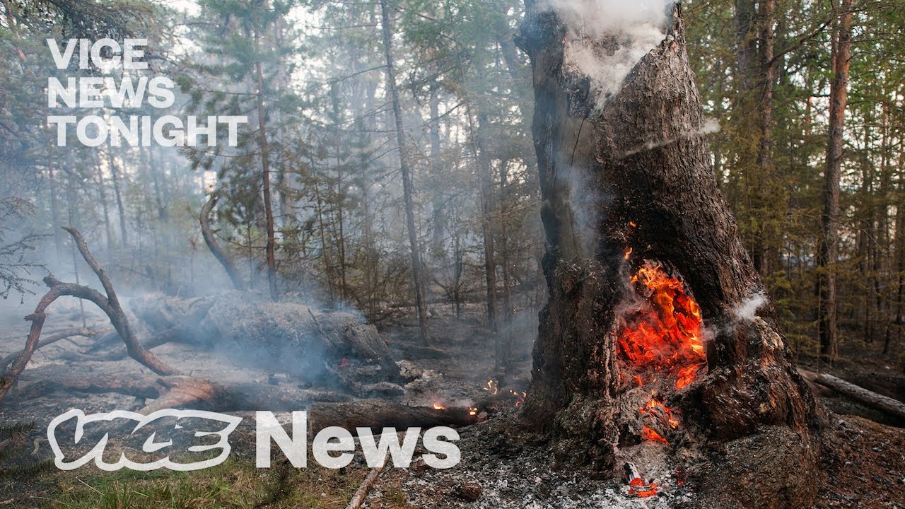 Film backdrop image for Russia's Fires Are So Out of Control They're Melting Polar Ice Caps (2020)