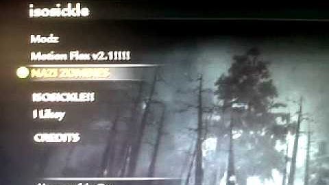 Cod waw Menu from ISO MODS