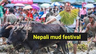 असारे १५ मा पोखराका मेयरले हलो जोते || Asare Pandhra - 2076 || Nepali Mud Festival ||