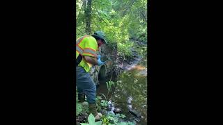 Stormwater Sampling in Burlington, MA