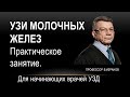 УЗИ молочных желез. Практическое занятие.