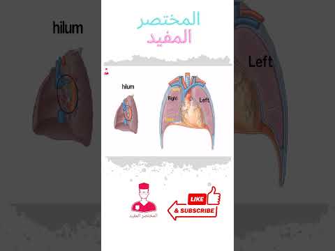 فيديو: أثناء انتهاء الصلاحية المفترض الحجاب الحاجز؟