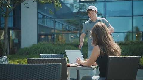 MSc Industrial Ecology - Leiden University