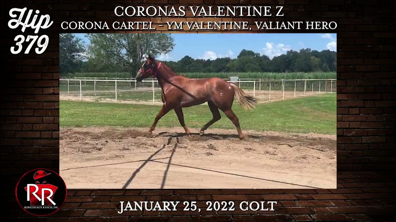 Ruidoso Select Yearling Hip 379 YouTube
