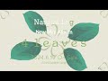 Natural Lag / New Mini Album「4 leaves」全曲試聴動画