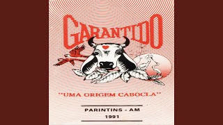 Video thumbnail of "Boi Bumbá Garantido - Boi do Carmo"