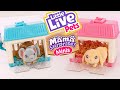 Little live pets mama surprise minis la famille sagrandit avec un lapin et une souris