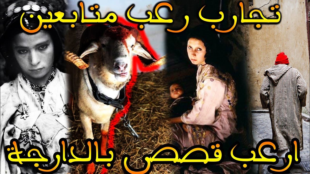 تجارب متابعين حقيقية : ارعب قصص وقعت في المغرب|| قصة رعب بالدارجة