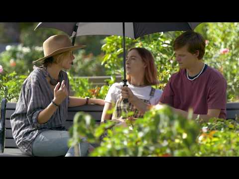 Lady Bird -