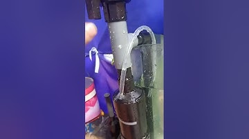 cách lắp overflow cho bể cá dùng lọc tràn dưới