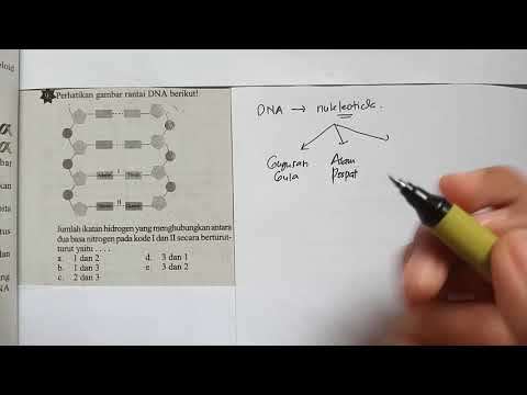 Video: Ikatan apa yang ada dalam DNA?