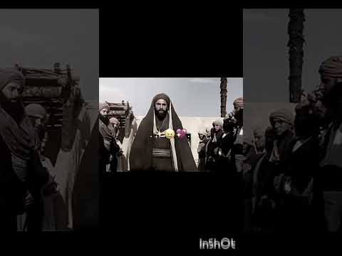 تفز روححي فكره 313