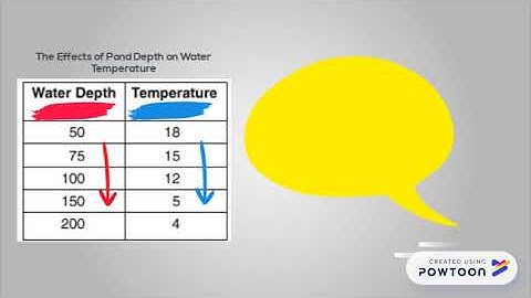 The Story of Data Tables