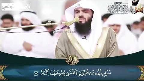#تلاوات #ماهر_المعيقلي #ياسر_الدوسري #ناصر_القطامي #السديس #خالد_الغامدي(21)