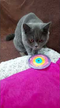 Download lagu pretty Liam18/112655