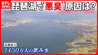 【琵琶湖】植物プランクトンが影響し“悪臭”　対策に5億円超！