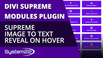 Divi Theme Supreme Image To Text Reveal On Hover 👈