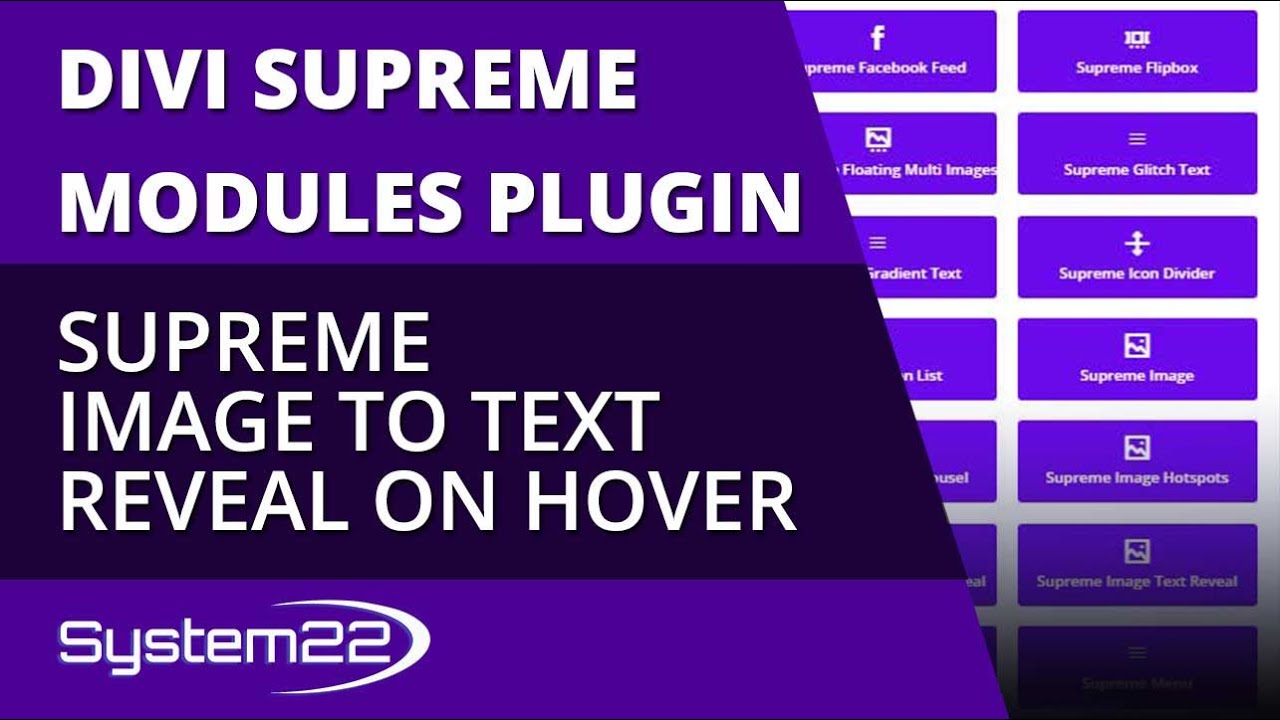 Divi Theme Supreme Image To Text Reveal On Hover 👈