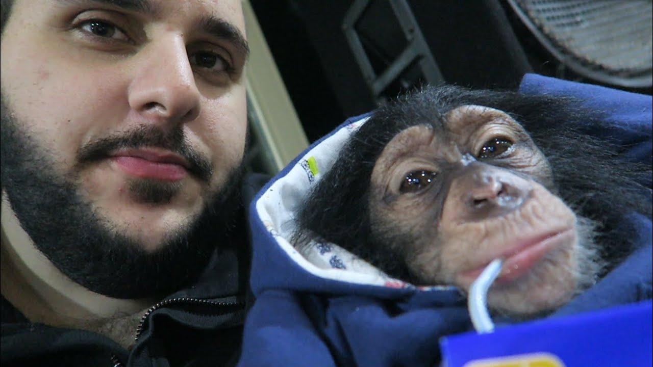MONKEY BUSINESS! 