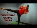 Taekwondo cardio drills