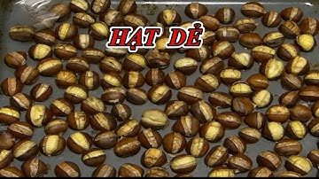 Cách LUỘC, NƯỚNG HẠT DẺ. Cách Bảo Quản HẠT DẺ đúng cách ăn cả năm/ Esskastanien zubereiten.