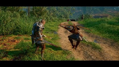 AC Valhalla - Siege of Paris: Praise the Sun bug