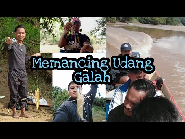 Expedisi Memancing Udang Galah Part 1 l Sg. Kinabatangan, Tongod, Sabah l 09.10.2020 class=