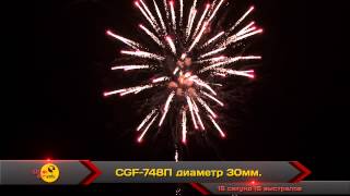 CGF 748П