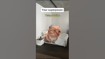 CAT MEMES 😺 When you have super power... #catmemes #relatable #shorts