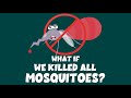 What If We Killed All Mosquitoes? - Learning Junction