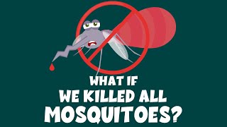 What If We Killed All Mosquitoes? - Learning Junction