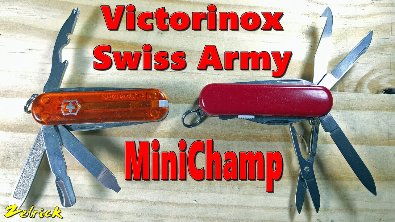 Victorinox Swiss Army Minichamp Review/ The True Mini Swiss Army Kinfe 