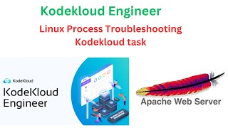 Celebrity Linux Process Troubleshooting Kodekloud task Wealth