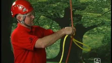 The Spider Leg Balancer in Tree Limb Removal