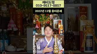 🍀2022년 양력12월 용띠 운세의 흐름은?🍀 #Shorts