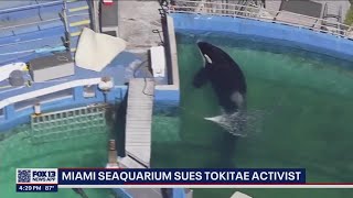 Seaquarium sues activist who released Tokitae videos | FOX 13 Seattle