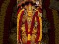 Pasupu Pachane Roopu #Vijayawada Kanaka Durga Ammavaru #durgamma #shortsfeeds #viralvideo #ytshorts