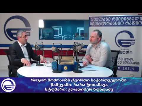 როგორ მოძრაობს ტვირთი საქართველოში/“დღის არხი“/“რადიო იმედი,Radio Imedi