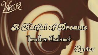 Timothée Chalamet - A Hatful of Dreams (Lyrics) [From Wonka]
