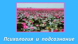 280. Сатья Саи Баба о психологии и подсознании.