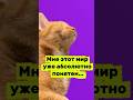«Мне этот мир уже абсолютно понятен…